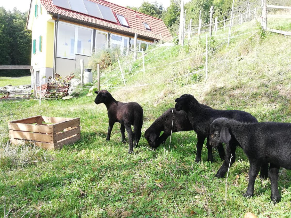 Ferienhaus Grabenhansl Stubenberg Eksteriør bilde