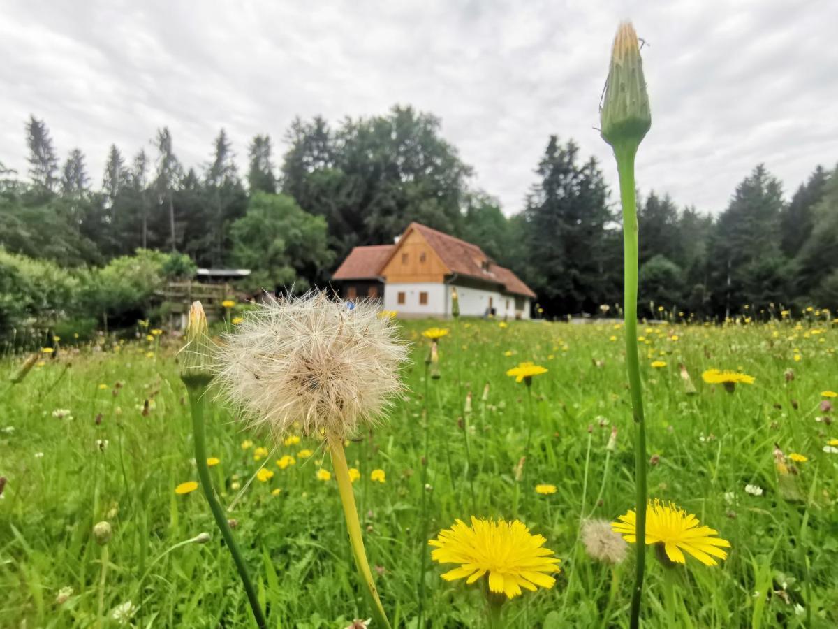 Ferienhaus Grabenhansl Stubenberg Eksteriør bilde